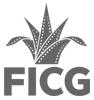 GUADALAJARA, FICG