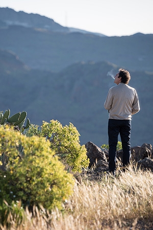 THE WHISTLERS / LA GOMERA